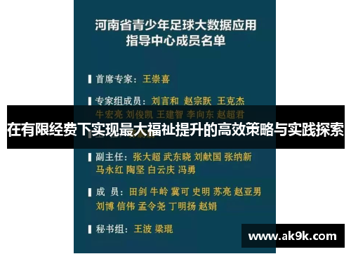 在有限经费下实现最大福祉提升的高效策略与实践探索