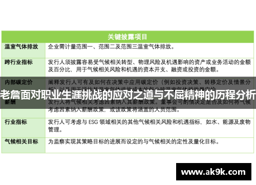 老詹面对职业生涯挑战的应对之道与不屈精神的历程分析