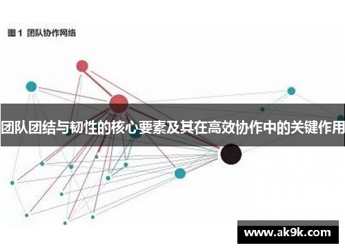 团队团结与韧性的核心要素及其在高效协作中的关键作用