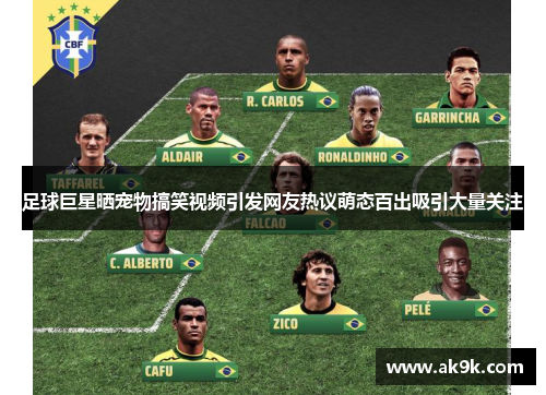 足球巨星晒宠物搞笑视频引发网友热议萌态百出吸引大量关注