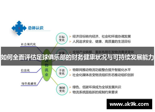 如何全面评估足球俱乐部的财务健康状况与可持续发展能力